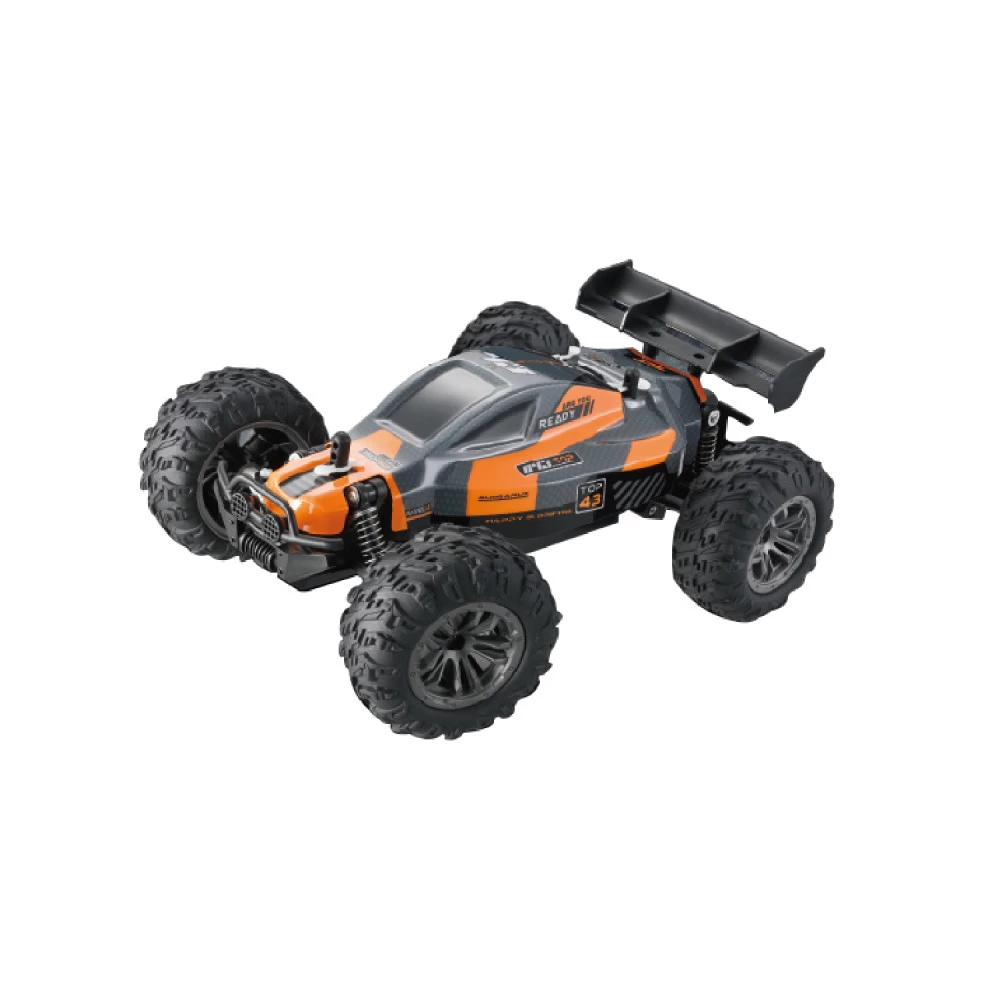 R/C STORM RIDERS 1:18 2,4 GHZ 2 ASSORTI 1 R/C STORM RIDERS 1:18 2,4 GHZ 2 ASSORTI